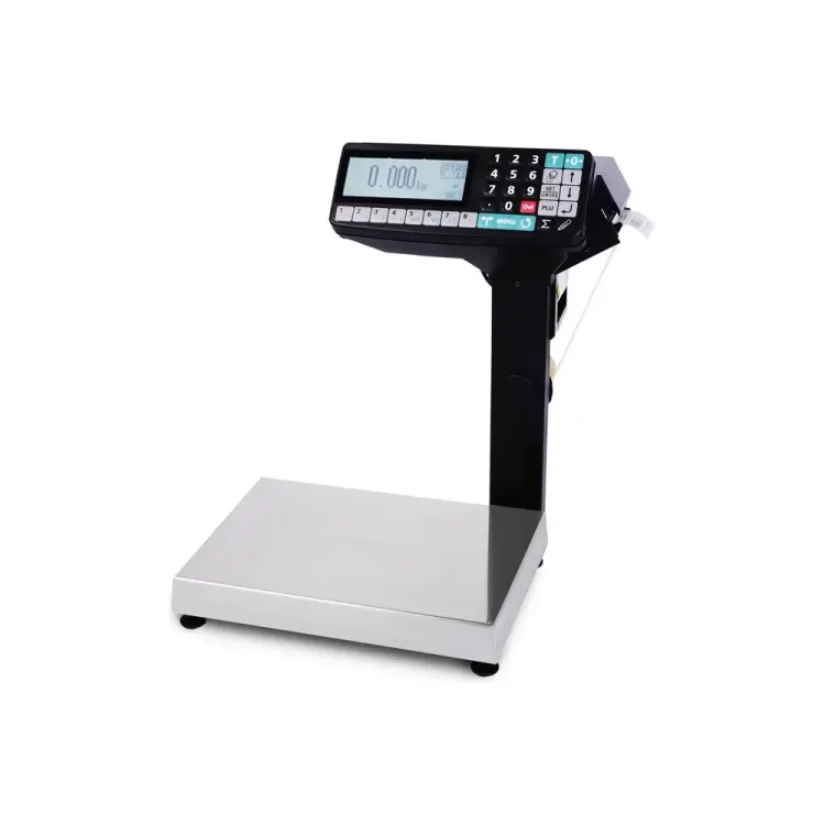 Весы-регистраторы МАССА-К МК-6.2-RP-10 20922