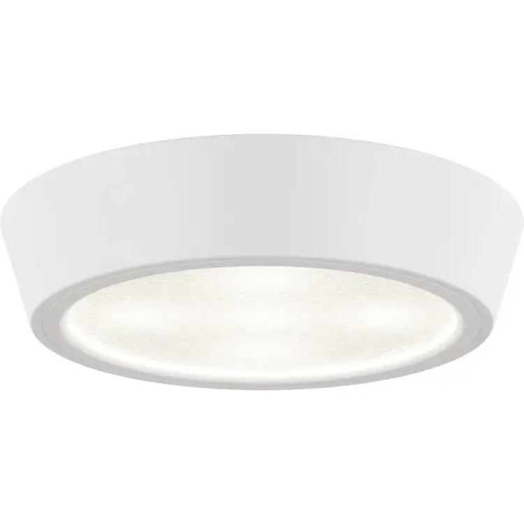 Потолочный светодиодный светильник Lightstar 214904