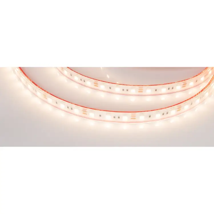 Герметичная светодиодная лента Arlight RTW-PS-B60-12mm 12V Warm3000 14.4 Вт/м 022325(2)
