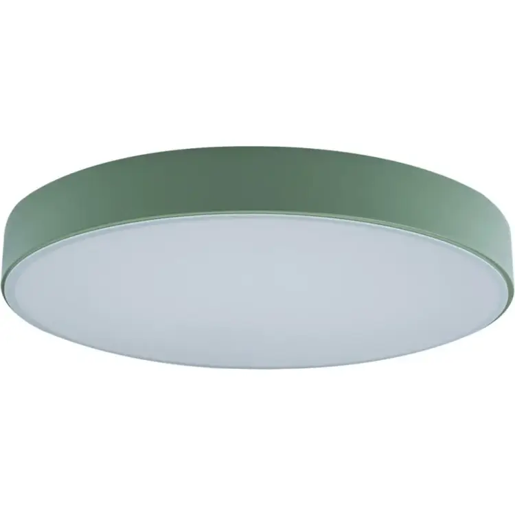 Накладной светильник LOFT IT Axel 1 10002/24 Green