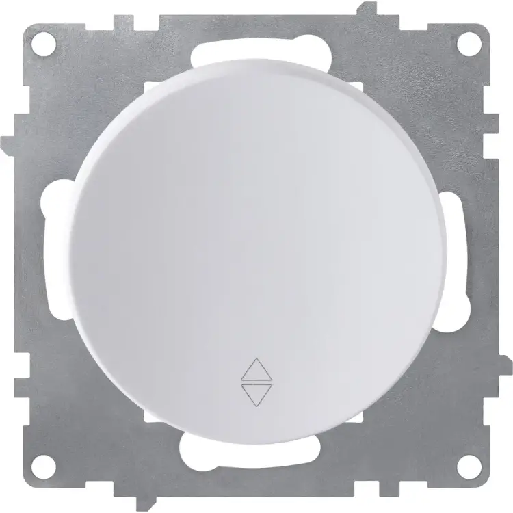 Одинарный переключатель OneKeyElectro 2172775