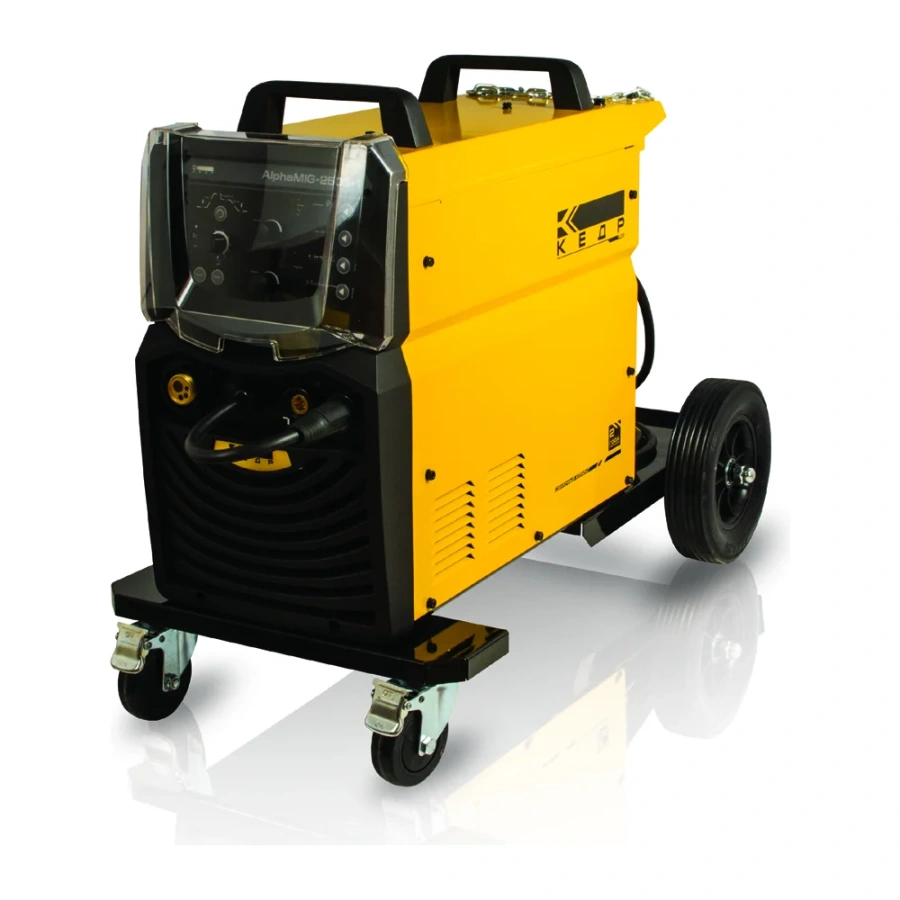 Сварочный полуавтомат Кедр AlphaMIG-250S-1