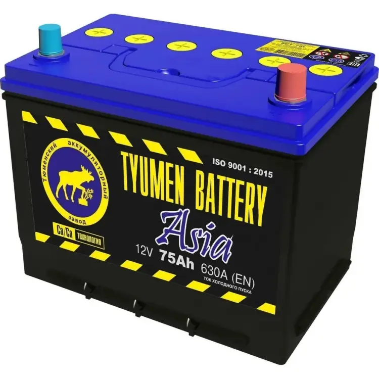 Аккумуляторная батарея TYUMEN BATTERY TNSa75.1