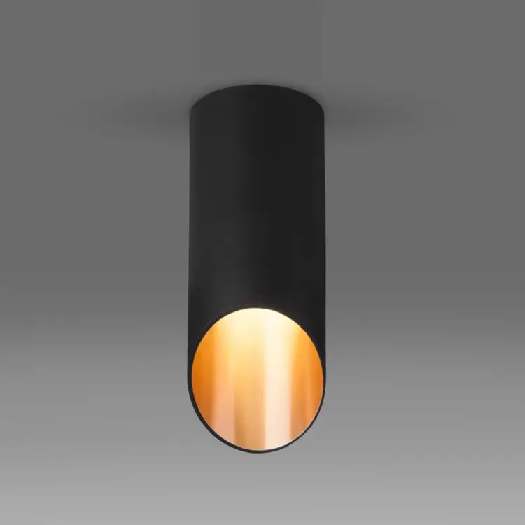 Накладной светильник Elektrostandard DLN114 a050120