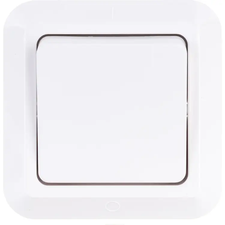 Одноклавишный выключатель BYLECTRICA С14-003