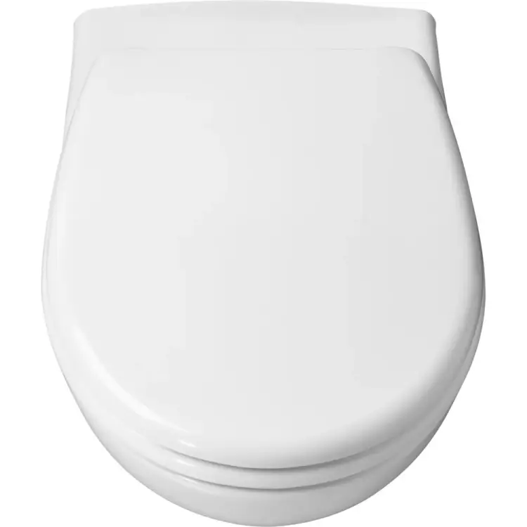 Крышка-сиденье для унитаза Roca Mateo 00025819