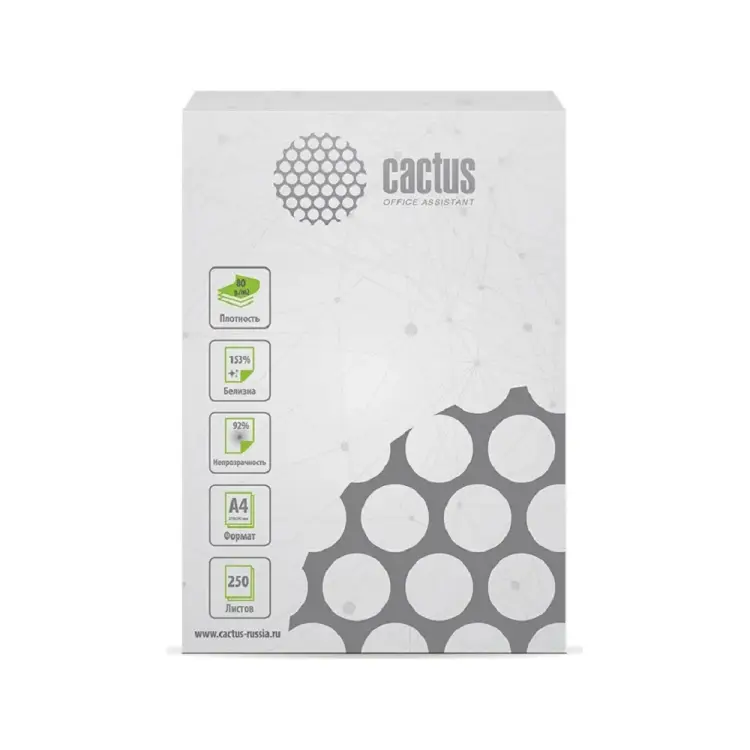 Офисная бумага Cactus CS-OPB-A480250 1114834