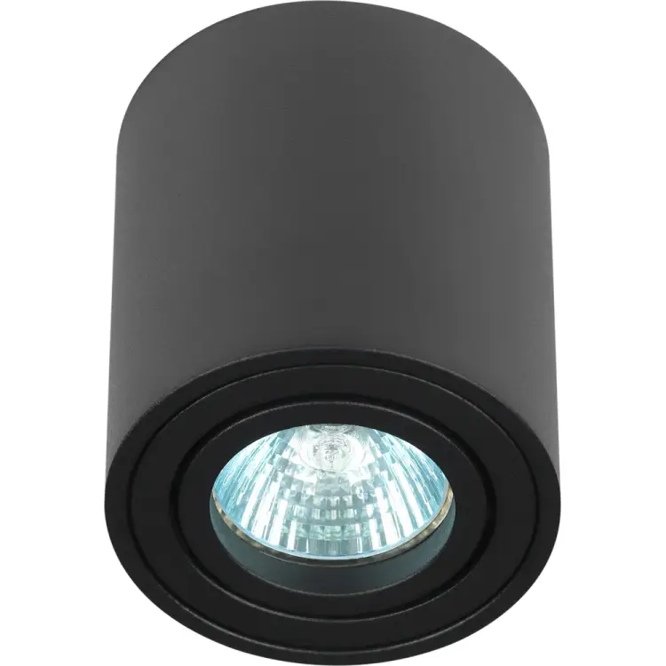 Настенно-потолочный светильник ЭРА Б0054393