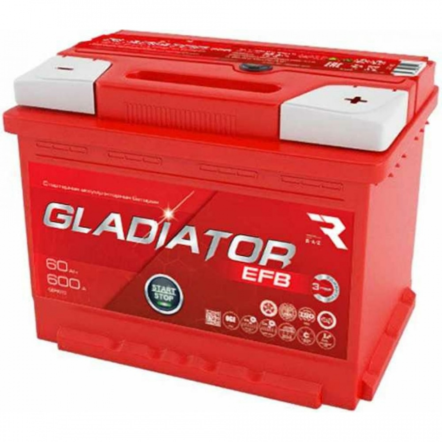 Аккумуляторная батарея Gladiator GEF6010