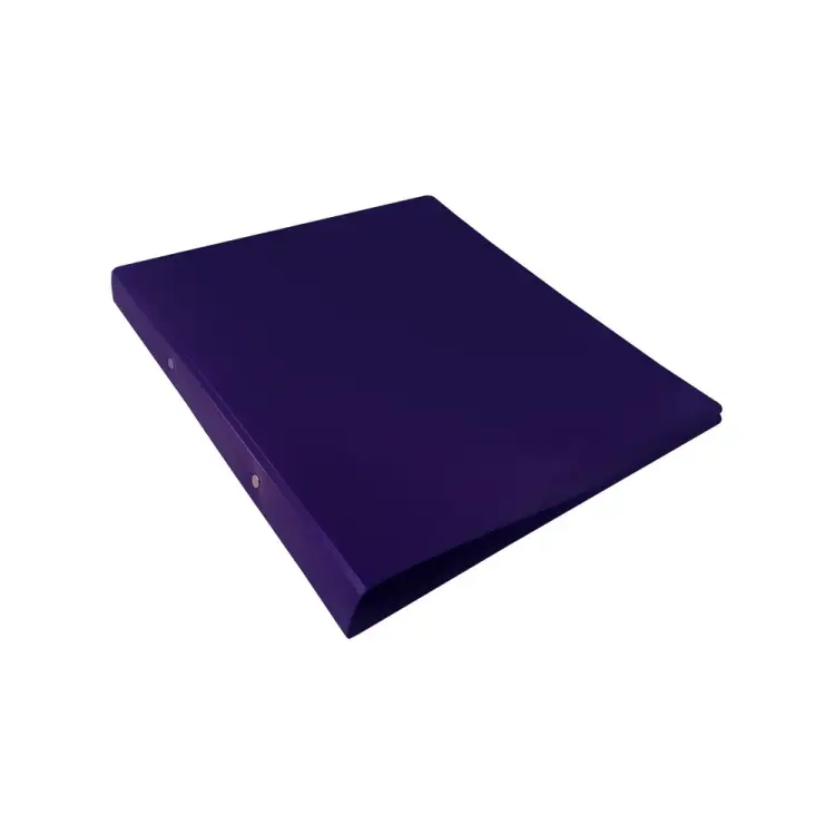 Папка Бюрократ DeLuxe DL0740/2BBERRY 1135820