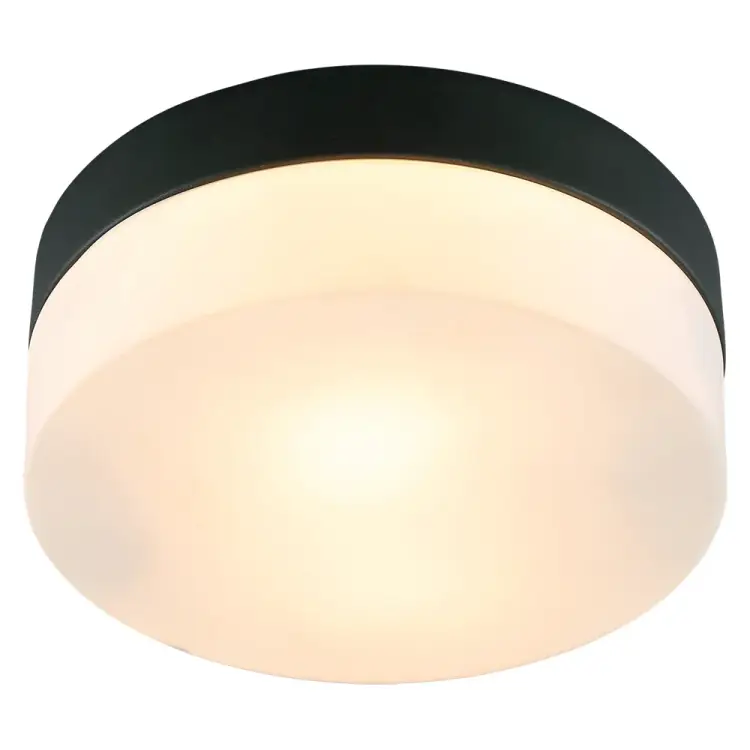 Потолочный светильник ARTE LAMP A6047PL-1BK