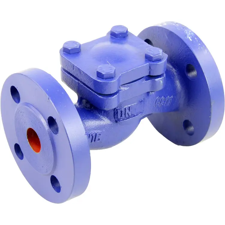 Чугунный фланцевый обратный подъемный клапан DN.ru 287a D100-02374