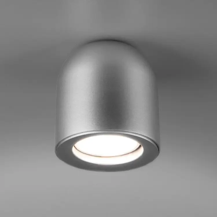 Накладной светильник Elektrostandard DLN116 a050674