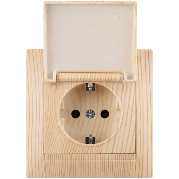 Розетка TDM ELECTRIC Лама SQ1815-0314