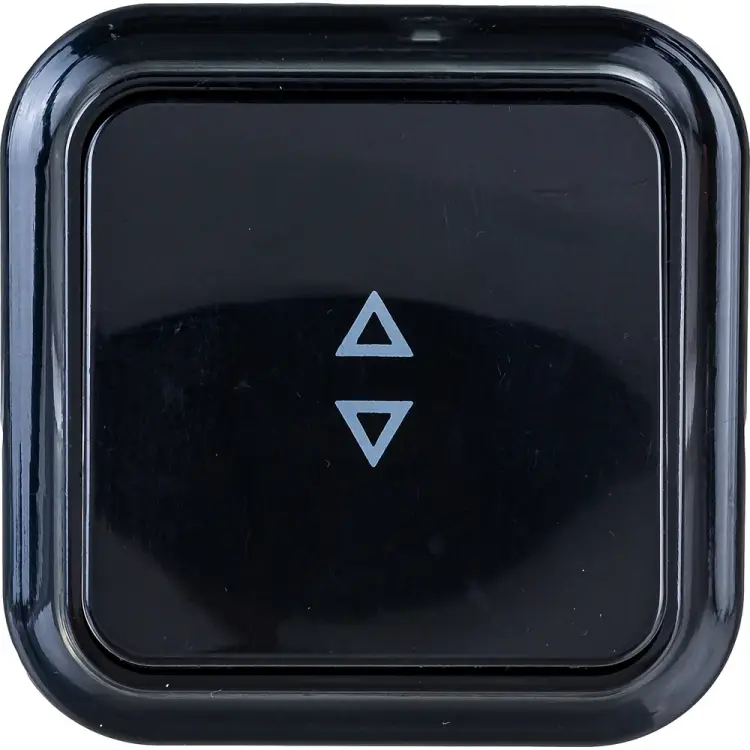 Проходной одноклавишный выключатель BYLECTRICA ПРАЛЕСКА А610-147 черный