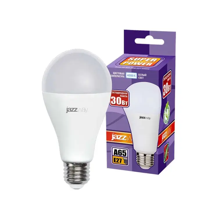 Лампа Jazzway PLED-SP A65 5019690