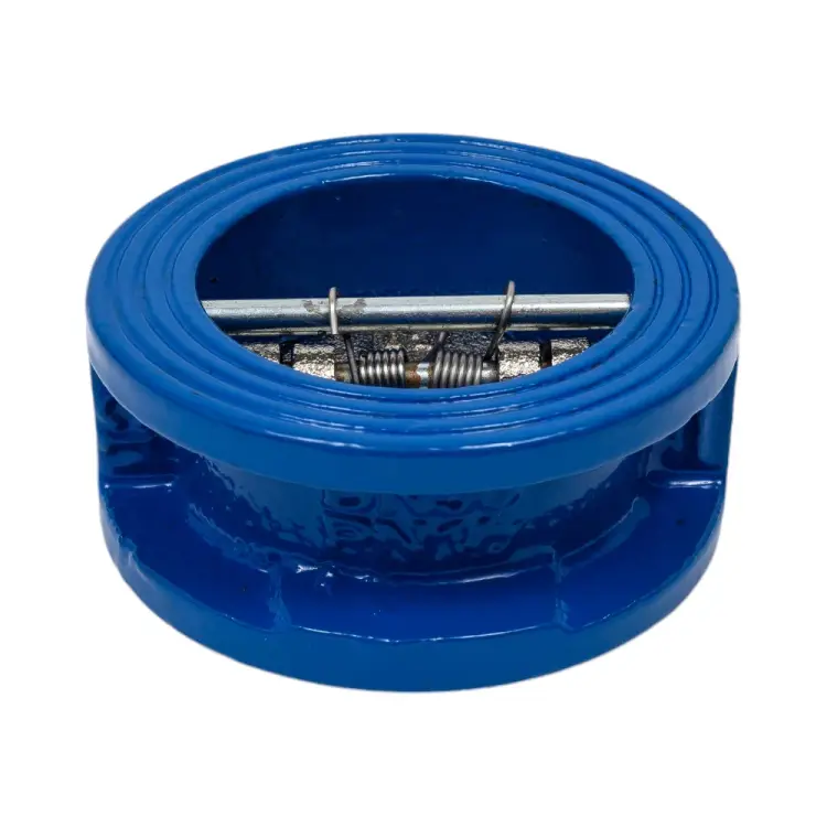 Двухдисковый межчугунный обратный клапан Ci D100-01758