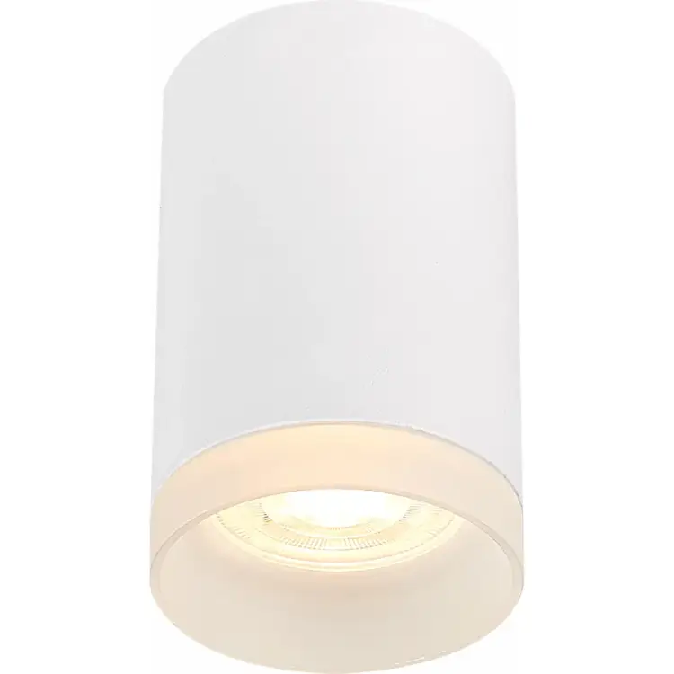 Потолочный светильник ST luce ST100.502.01