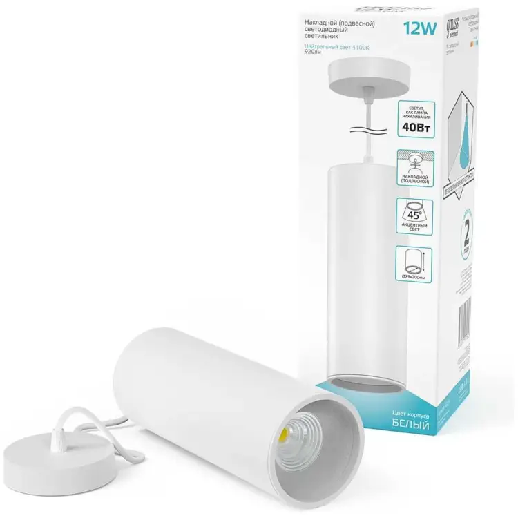 Накладной светильник Gauss HD036 HD036