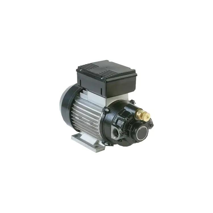 Электрический шиберный насос для перекачки масла PIUSI Viscomat 200/2 T F0030405D Электрический шиберный насос для перекачки масла PIUSI Viscomat 200/2 T F0030405D