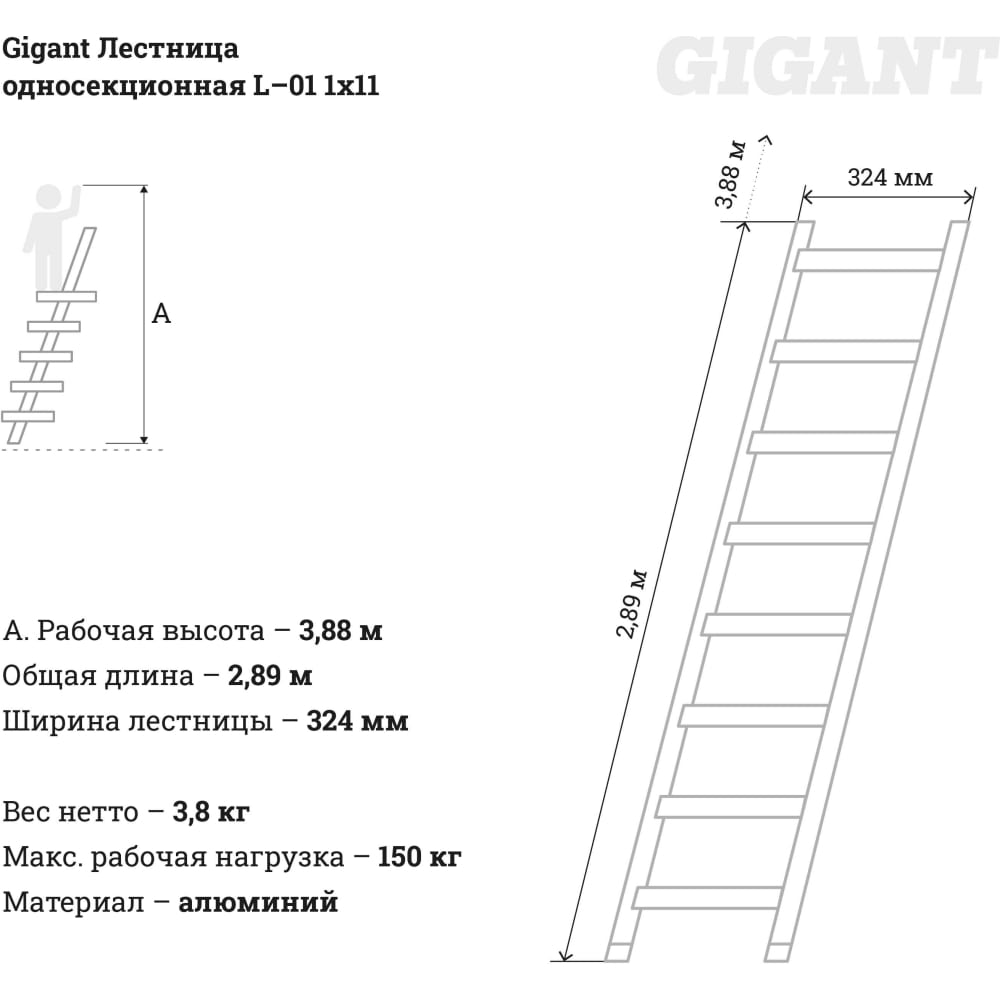 Односекционная лестница Gigant L-01