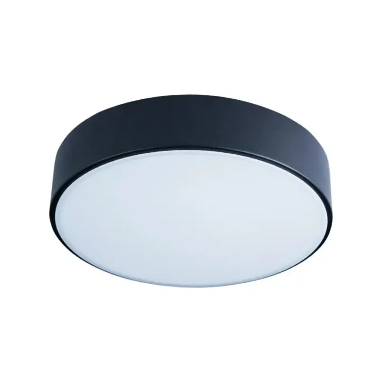 Накладной светильник LOFT IT Axel 1 10002/12 Black