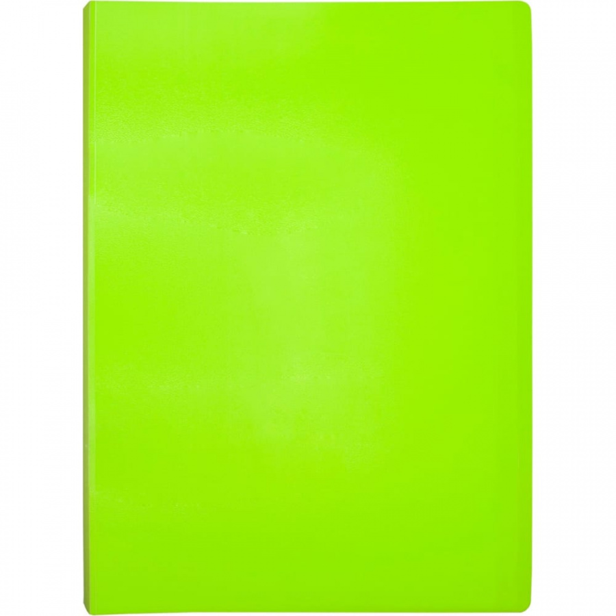 Папка Бюрократ Double Neon