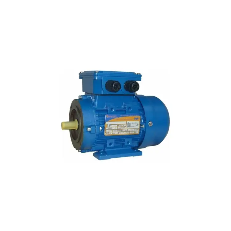 Электродвигатель 5АИ 56 В2 FT85 0.25/3000 IM 2181 01.01.221499