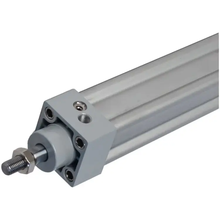 Пневмоцилиндр NBPT 81852