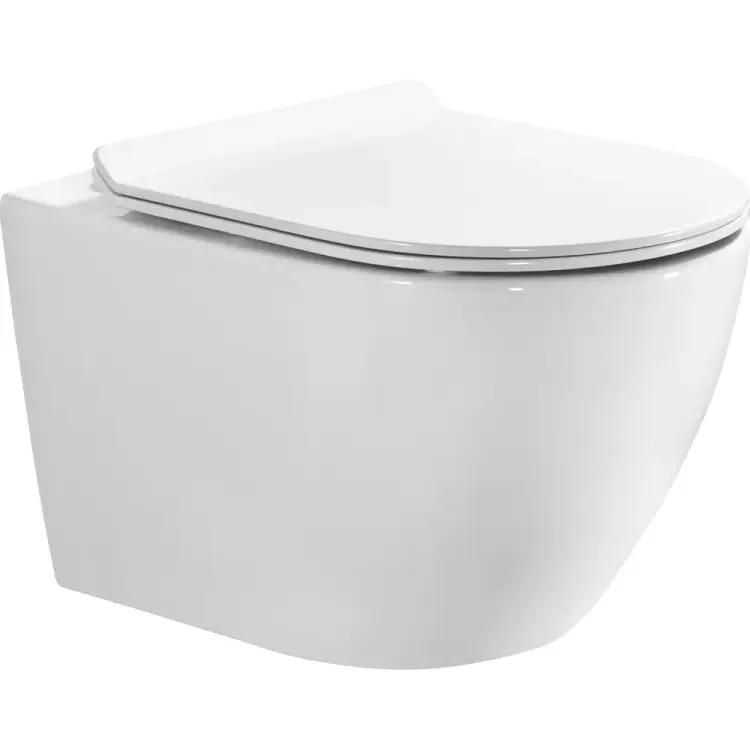 Безободковый подвесной унитаз BOND Oval F12-10