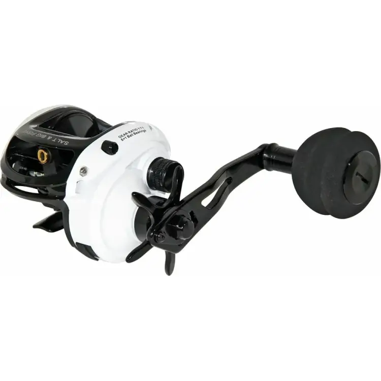 Мультипликаторная катушка WFT SALT&BIG FISH II 6+1 1D-A-806-051 Мультипликаторная катушка WFT SALT&BIG FISH II 6+1 1D-A-806-051