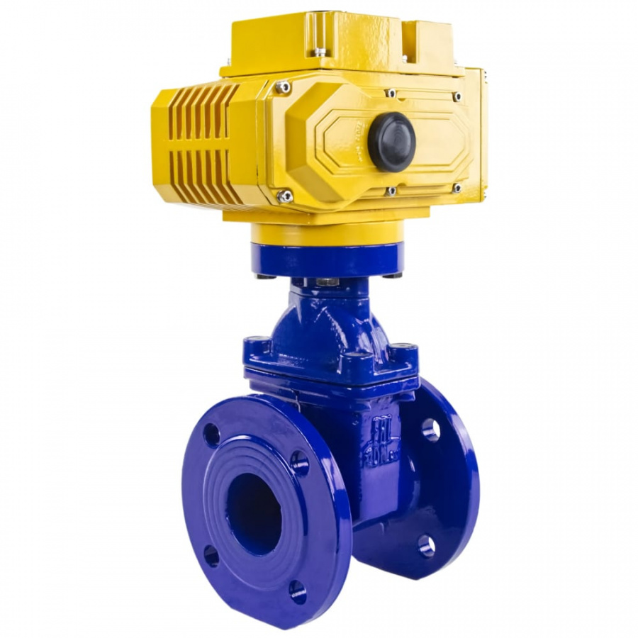 Клиновая задвижка DN.ru 30ч939р -065-16-GGG50-EPDM-F4-BLUE