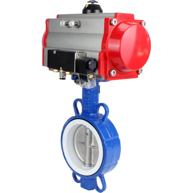 Затвор DN.ru wcb-316l-ptfe D050-02387