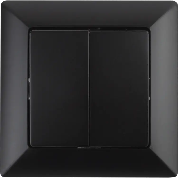 Двухклавишный выключатель Intro Solo 4-104-05 Б0053589