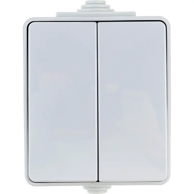 Двойной переключатель ЭРА Эксперт 11160603 Б0035979