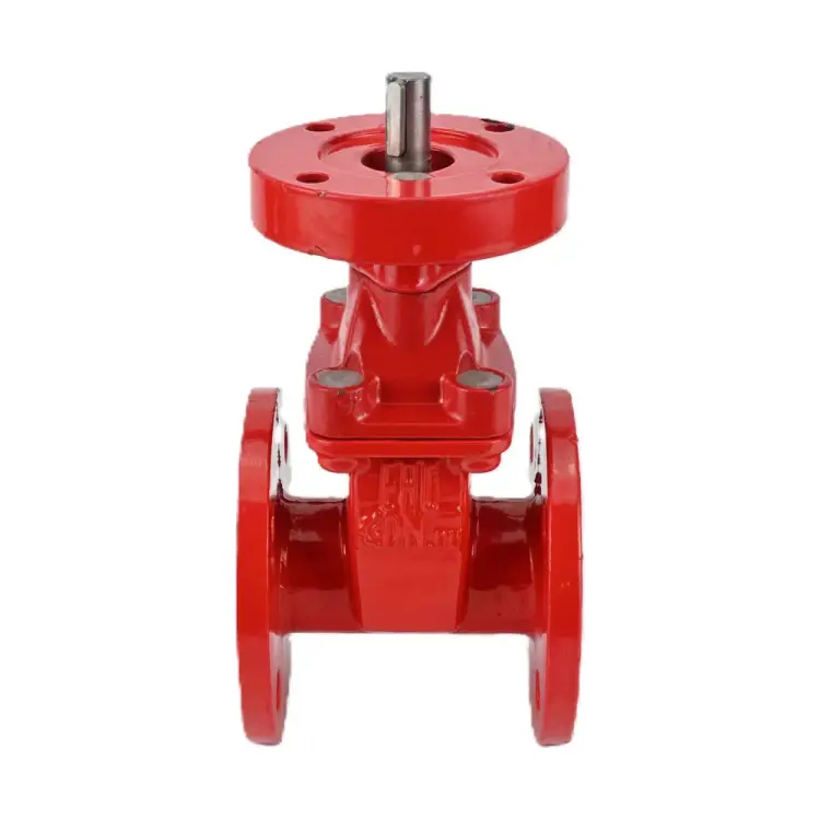 Обрезиненная клиновая задвижка для воды DN.ru D040-00699