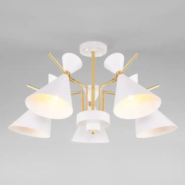 Потолочный светильник Eurosvet 70114 5 a047641