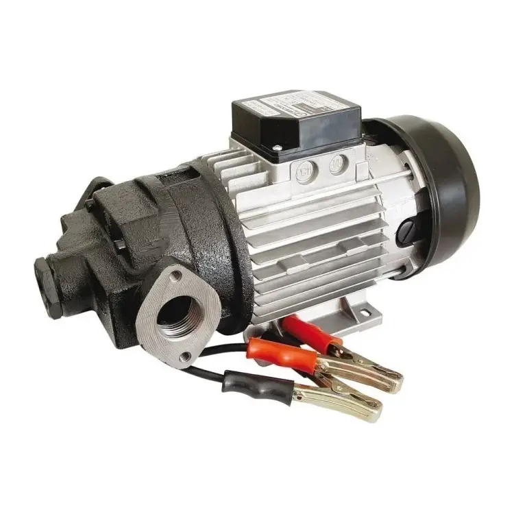 Самовсасывающий роторный лопастной электронасос Gespasa AG-90 24 VDC WITH SWITCH 00052 Самовсасывающий роторный лопастной электронасос Gespasa AG-90 24 VDC WITH SWITCH 00052