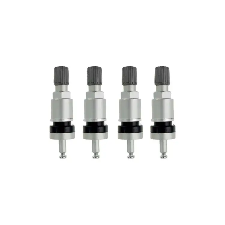 Комплект вентилей под датчик NORM TPMS-02 Комплект вентилей под датчик NORM TPMS-02