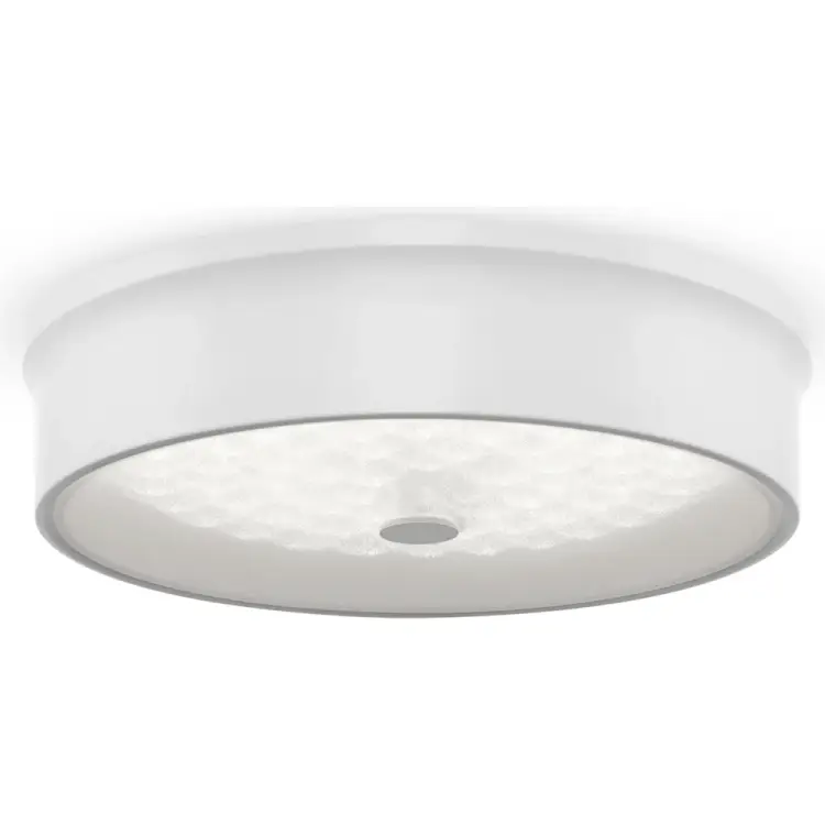 Потолочный светильник Freya cells FR10011CL-L24W