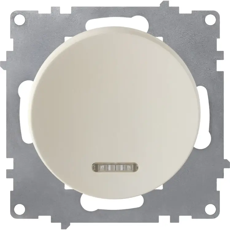 Одинарный выключатель OneKeyElectro 2172801