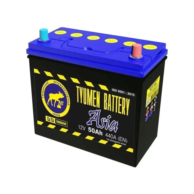 Аккумуляторная батарея TYUMEN BATTERY TNSa50.0