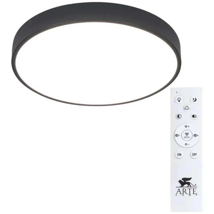 Потолочный светильник ARTE LAMP ARENA A2661PL-1BK