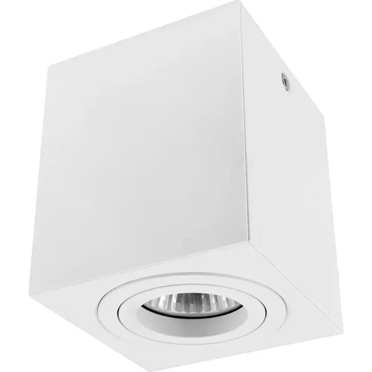 Поворотный накладной точечный светильник De Fran AL-2508 WH