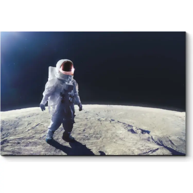 Картина Picsis 6042-13129029