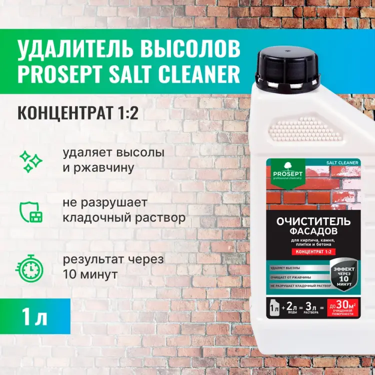 Смывка высолов PROSEPT SALT CLEANER 021-1