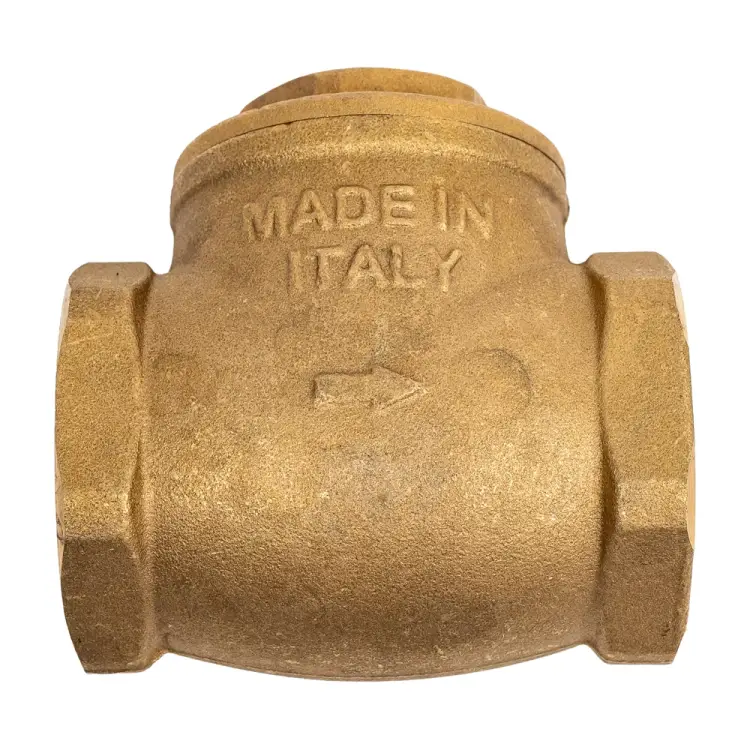 Поворотный обратный клапан Giacomini N6Y007 019-1015