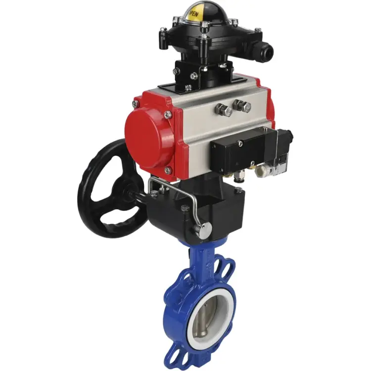 Затвор DN.ru WCB-316L-PTFE D050-00335