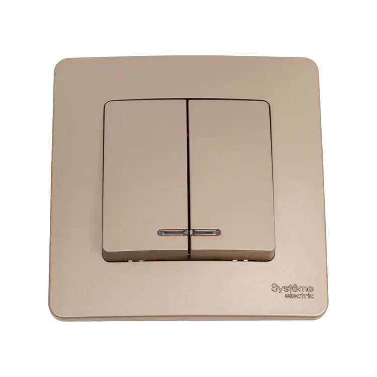Двухклавишный выключатель Systeme Electric Blanca BLNVS010514
