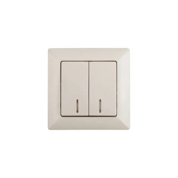 Двухклавишный выключатель Intro Solo Б0053594